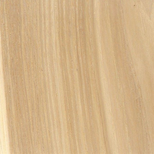 Maple